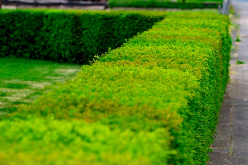 Material Picks that Last