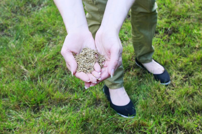 Lawn Damage from Improper Cleanup