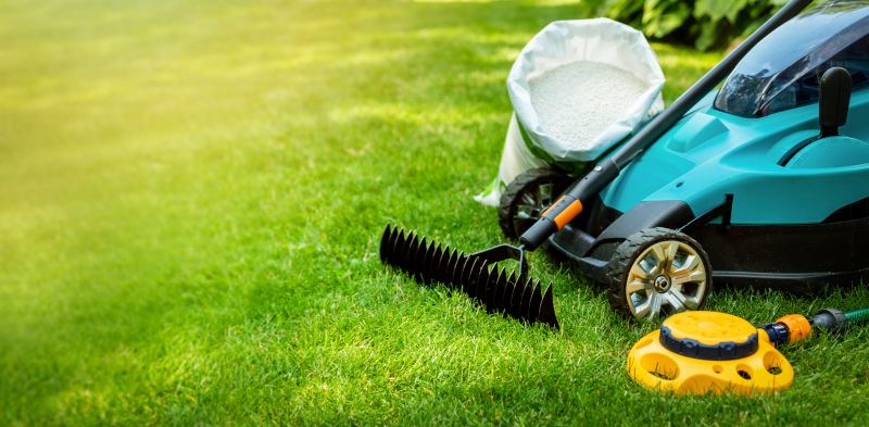 Healthy Lawn Restoration