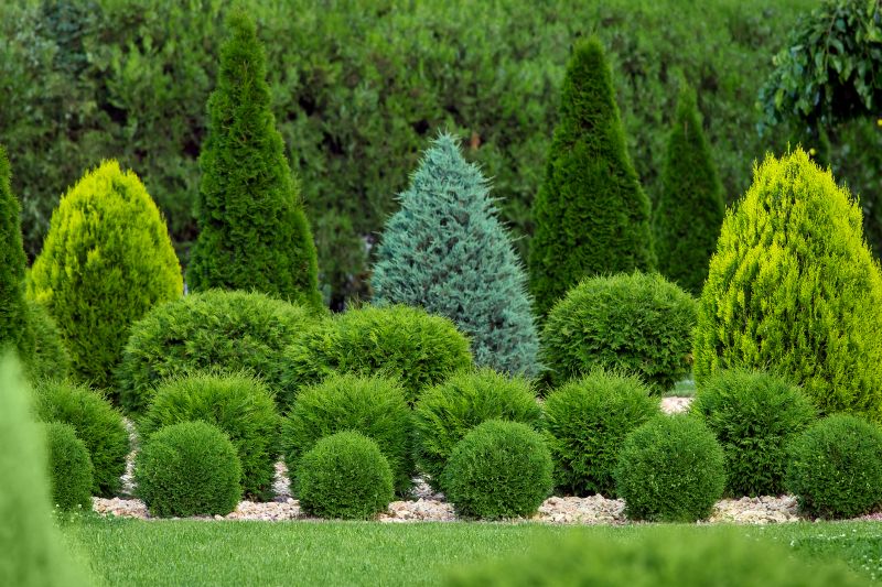 Products For Bush Shapings in use